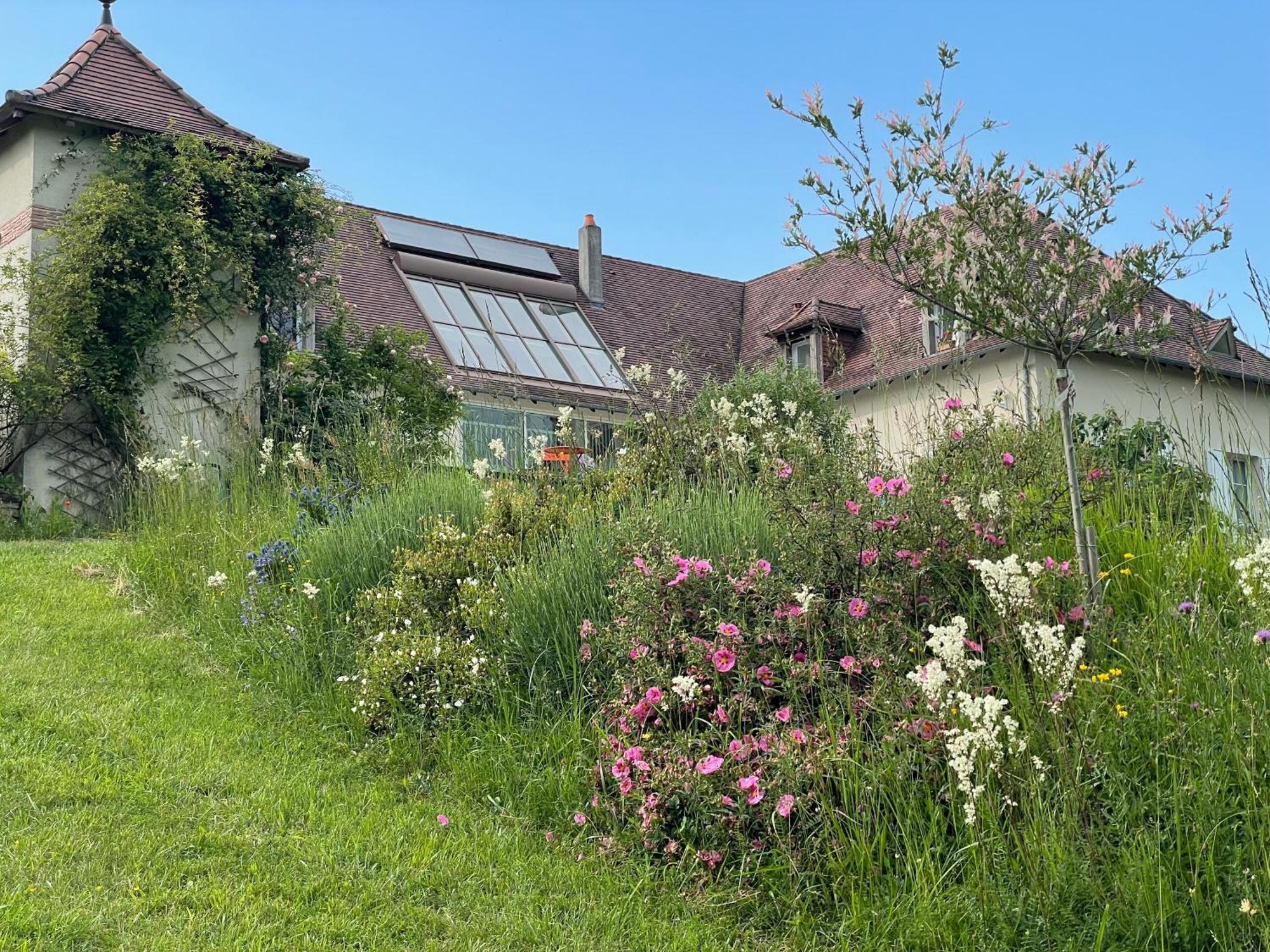 La Maison Du Parc Saint-Raphaël Eksteriør bilde